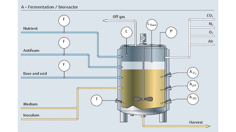 Подготовительный ферментационный процесс в биореакторе со всеми соответствующими точками измерения