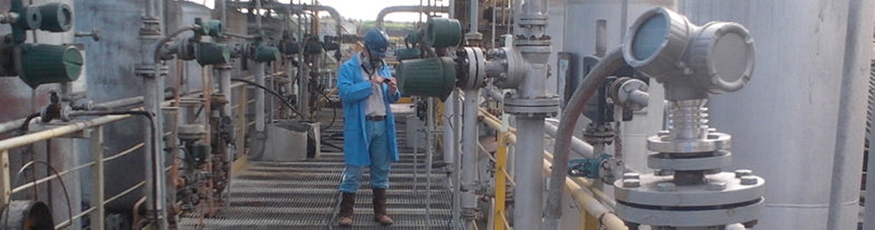Guided Radar Level Measurement Endress Hauser