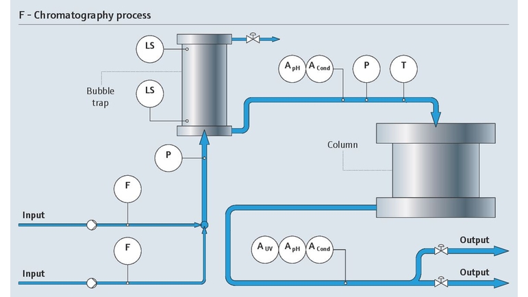 Завершающий хроматографический процесс ферментации в биореакторе со всеми соответствующими точками измерения