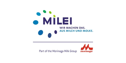 Логотип компании: MILEI